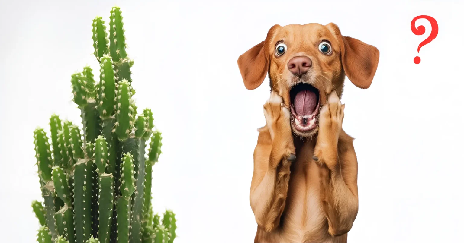 Can Dogs Eat Nopales