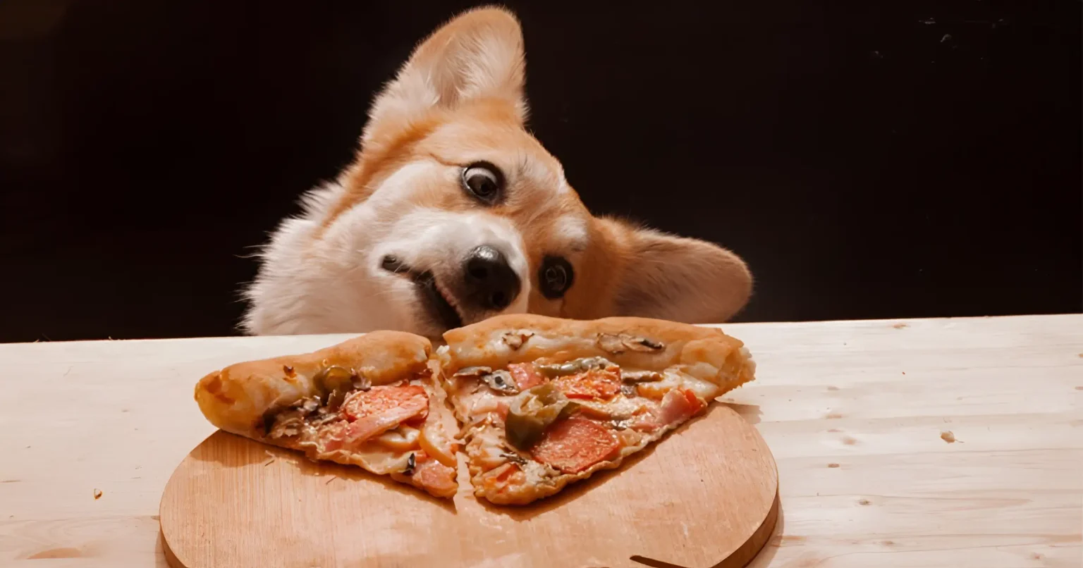 Can Dogs Eat Pizza Crust