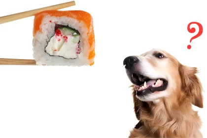 Can Dogs Eat Sushi