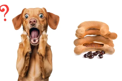 Can Dogs Eat Tamarind