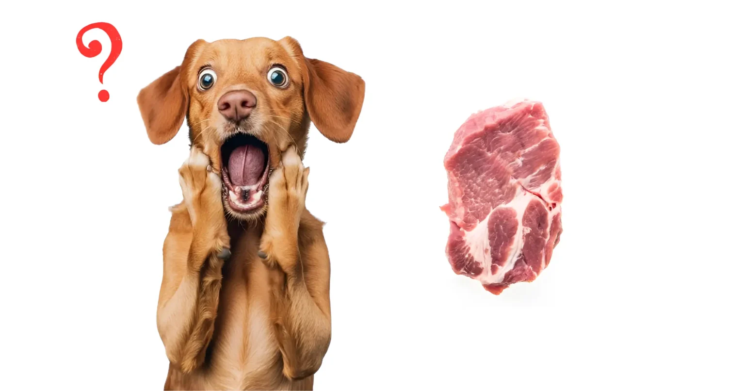 Can Dogs Eat Veal 6 Healthy Tips for 2025