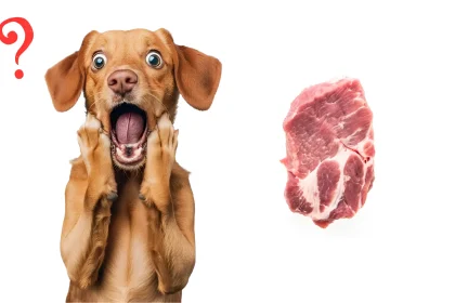 Can Dogs Eat Veal 6 Healthy Tips for 2025