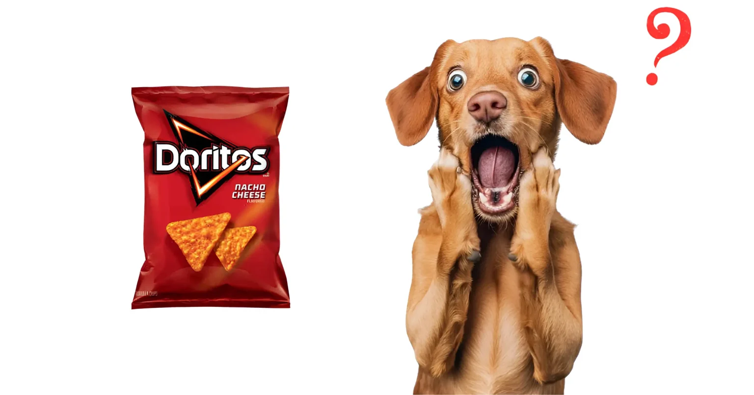 Can Dogs Have Doritos Safe Tips 2025