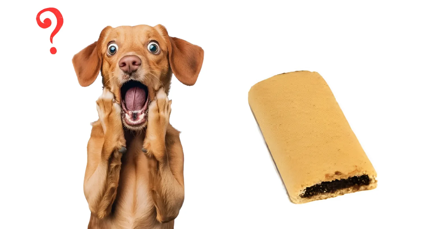 Can Dogs Have Fig Newtons