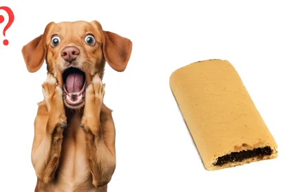 Can Dogs Have Fig Newtons