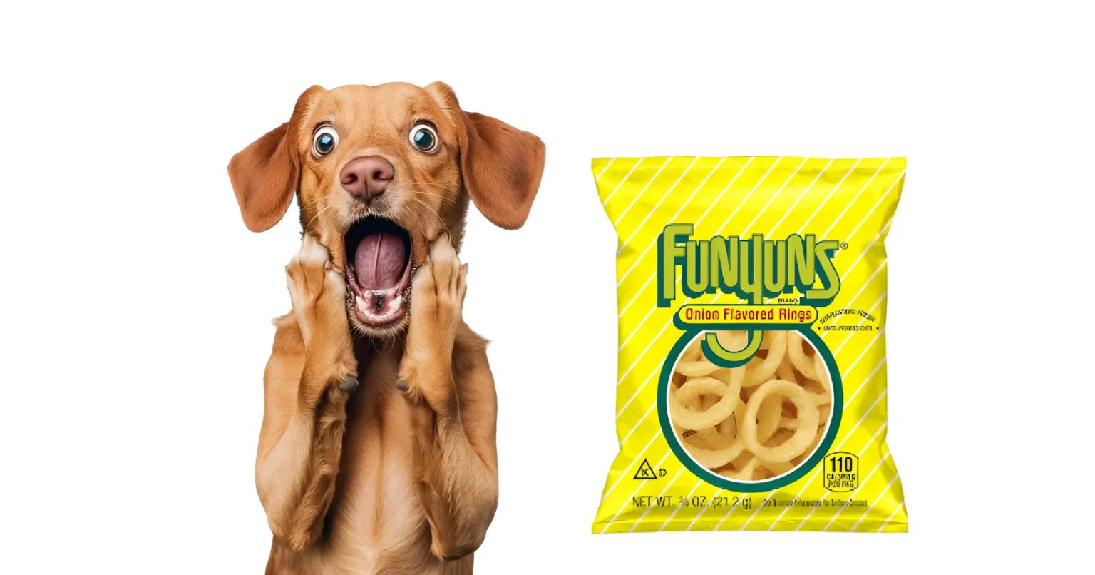 Can Dogs Have Funyuns