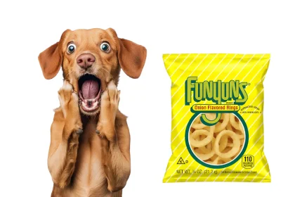 Can Dogs Have Funyuns