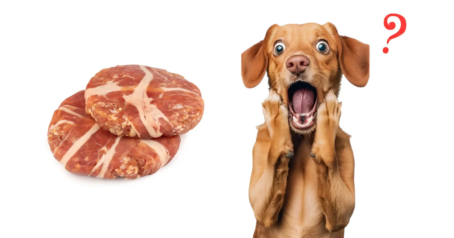 Can Dogs Have Turkey Bacon