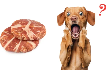 Can Dogs Have Turkey Bacon