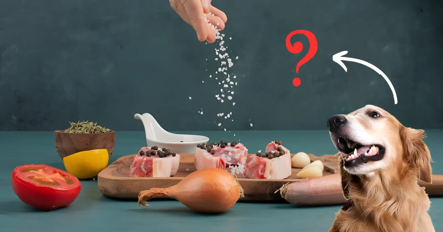 Do Dogs Need Salt in Homemade Food 2025 Helpful Guide