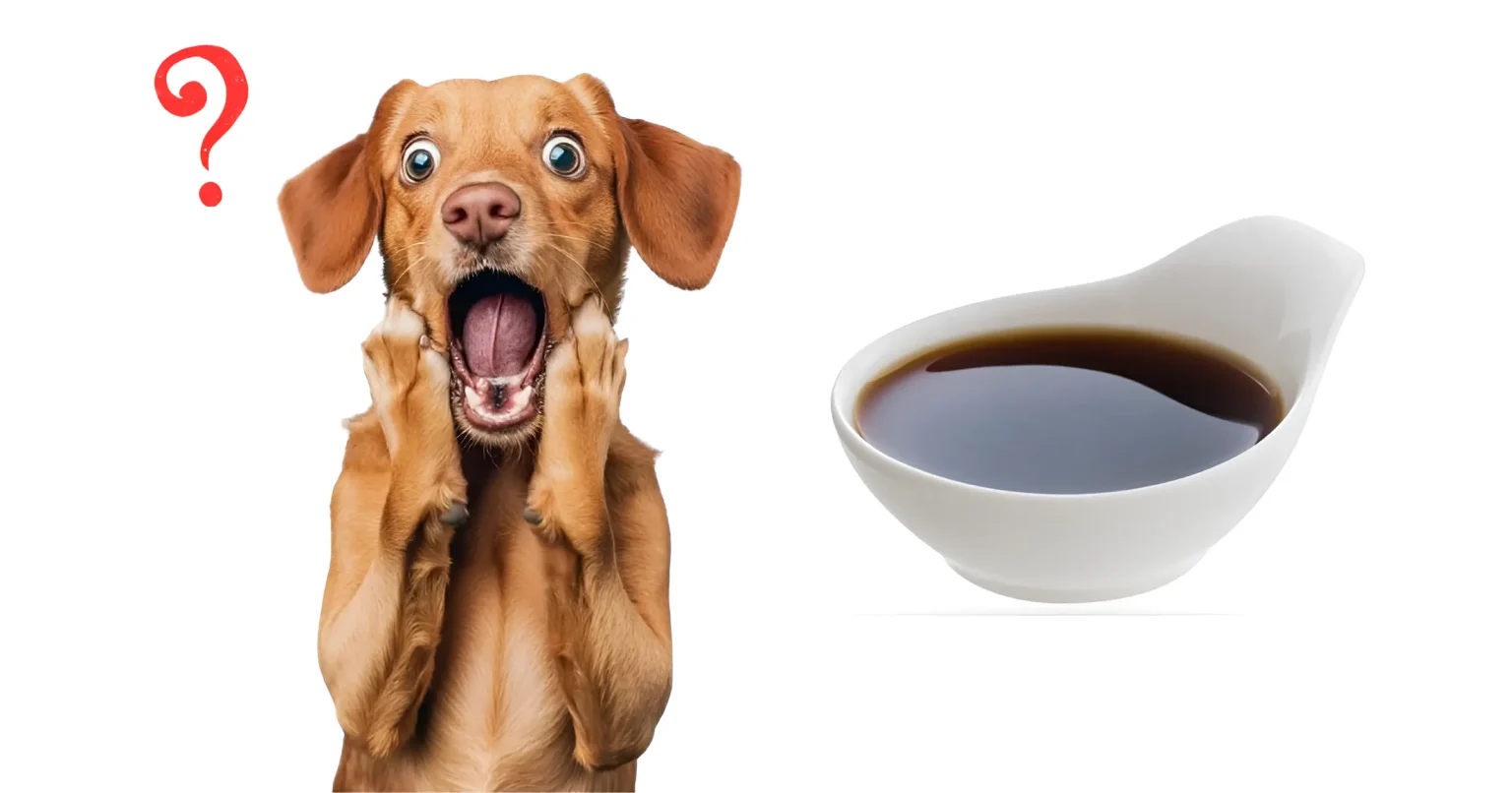 Is Molasses Bad for Dogs 5 Safe Tips for 2025