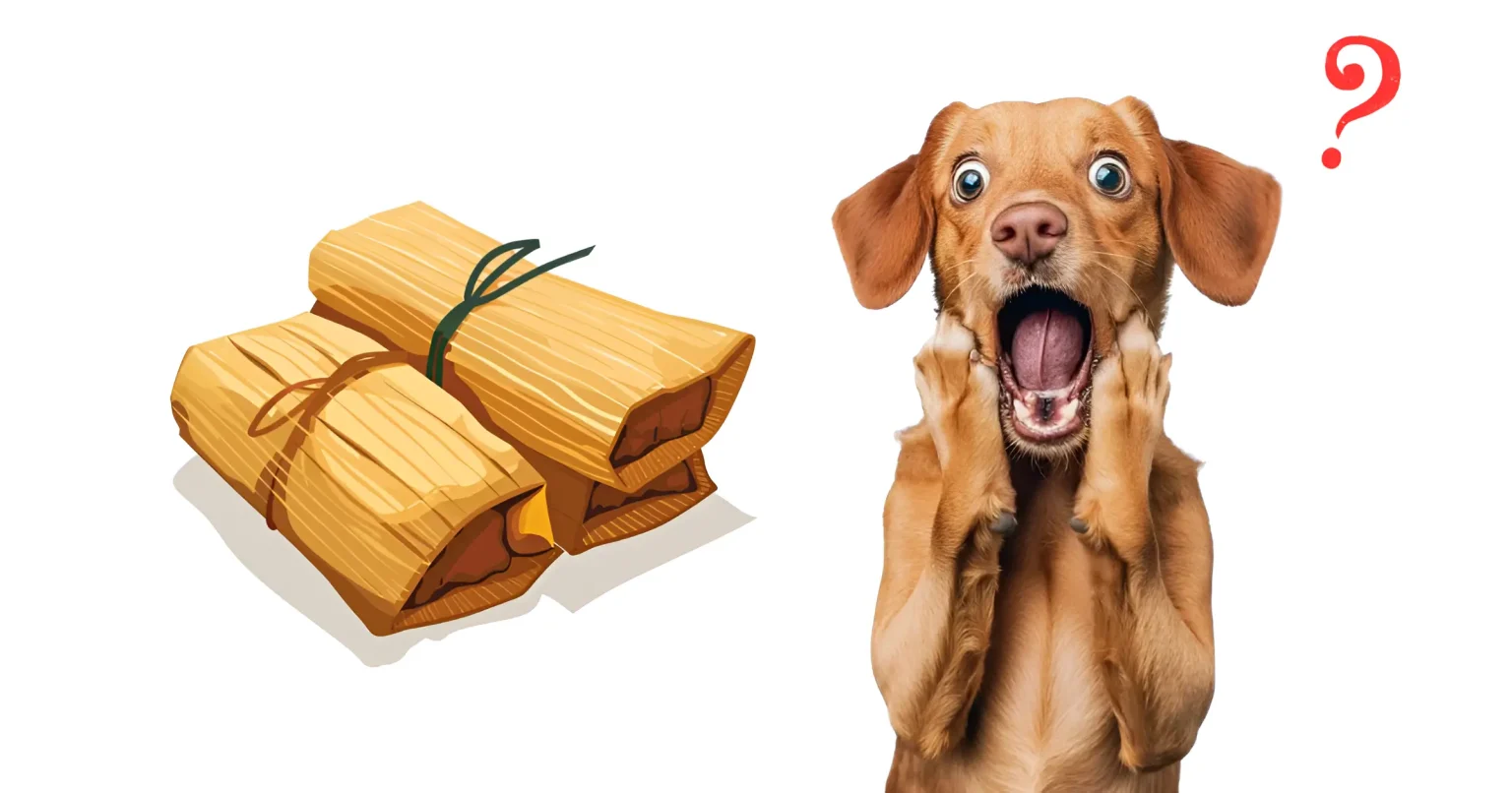 can dogs eat tamales