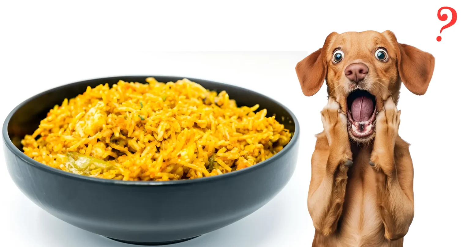 can dogs have yellow rice