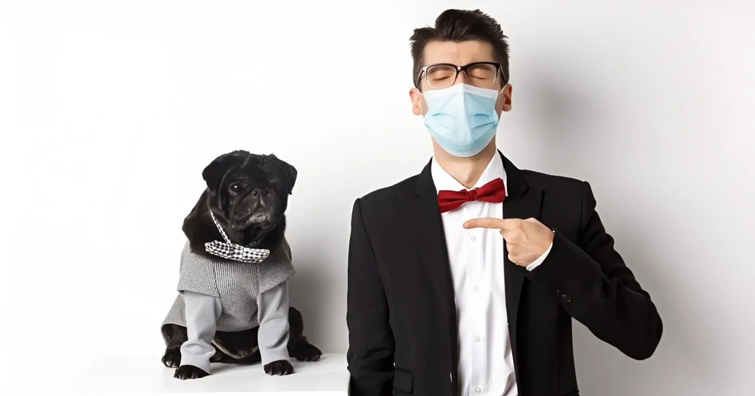 can you use bactine on dogs