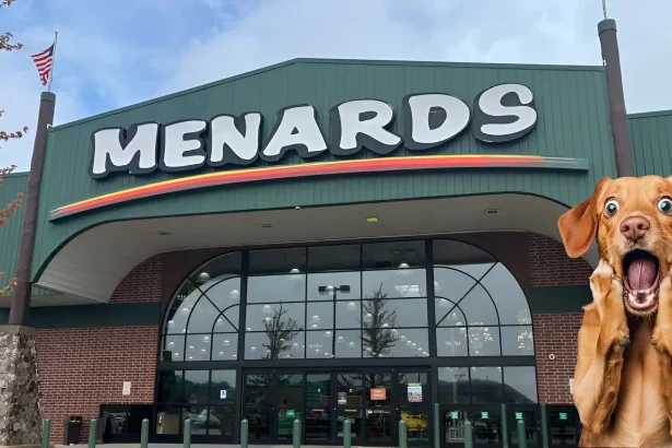 are dogs allowed in menards