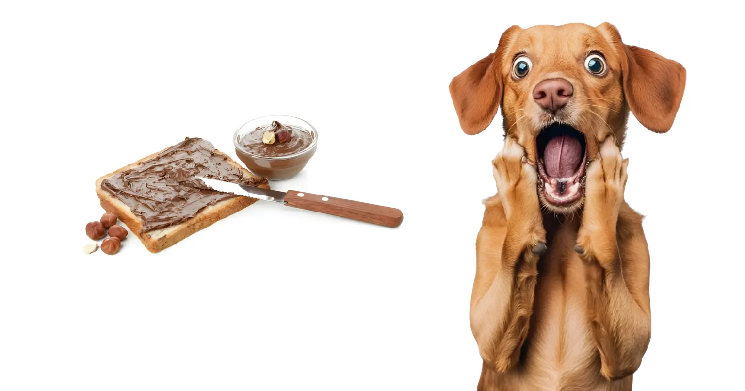 can dogs eat nutella