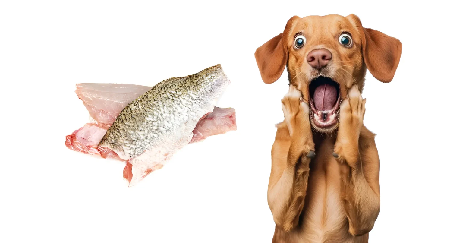 can dogs eat pollock fish