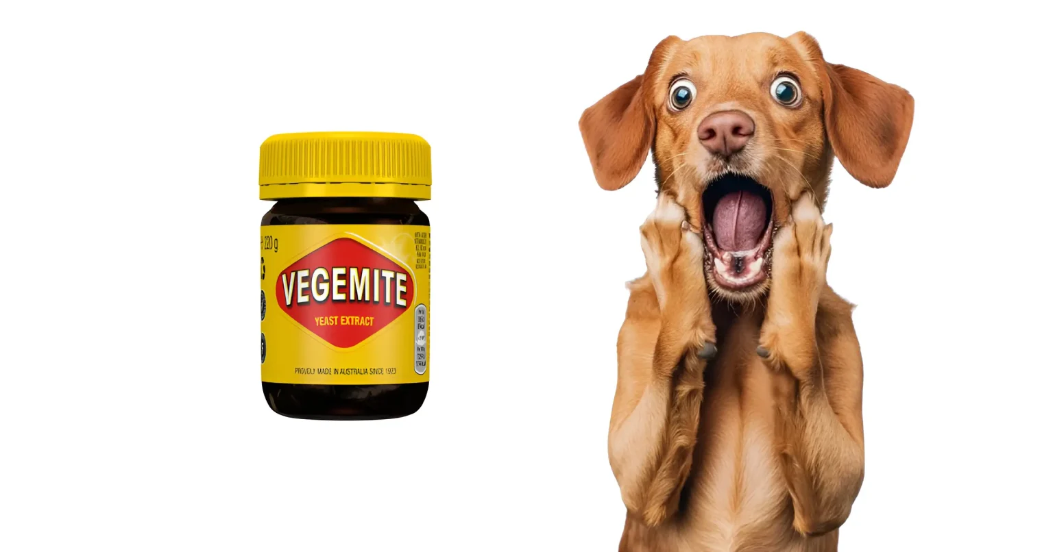 can dogs eat vegemite
