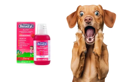 benadryl for dogs