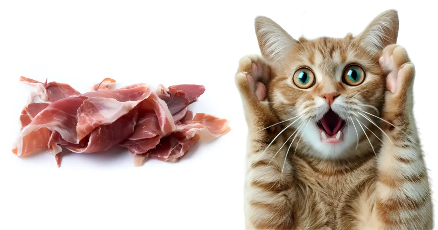 can cats eat pig ears