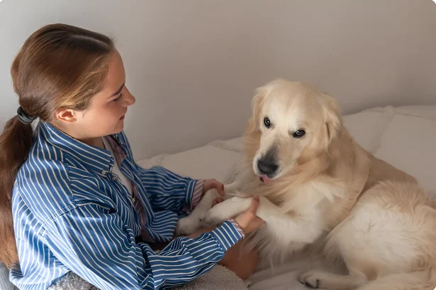 can dogs have down syndrome