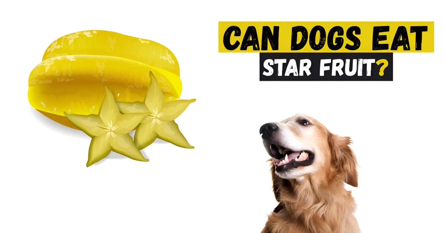 Can Dogs Eat Star Fruit