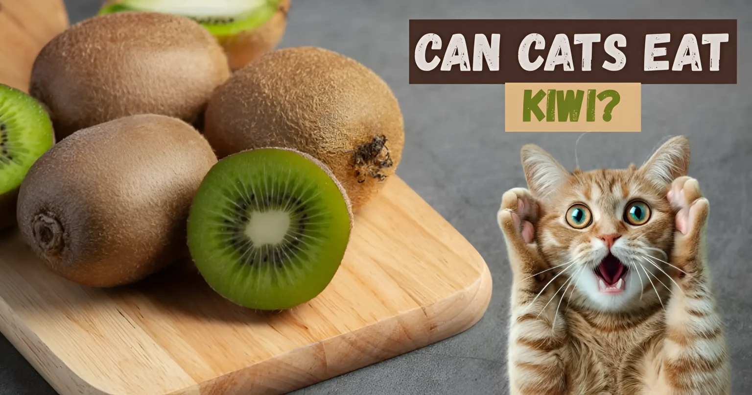 can cats eat kiwi