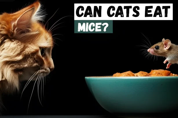can cats eat mice