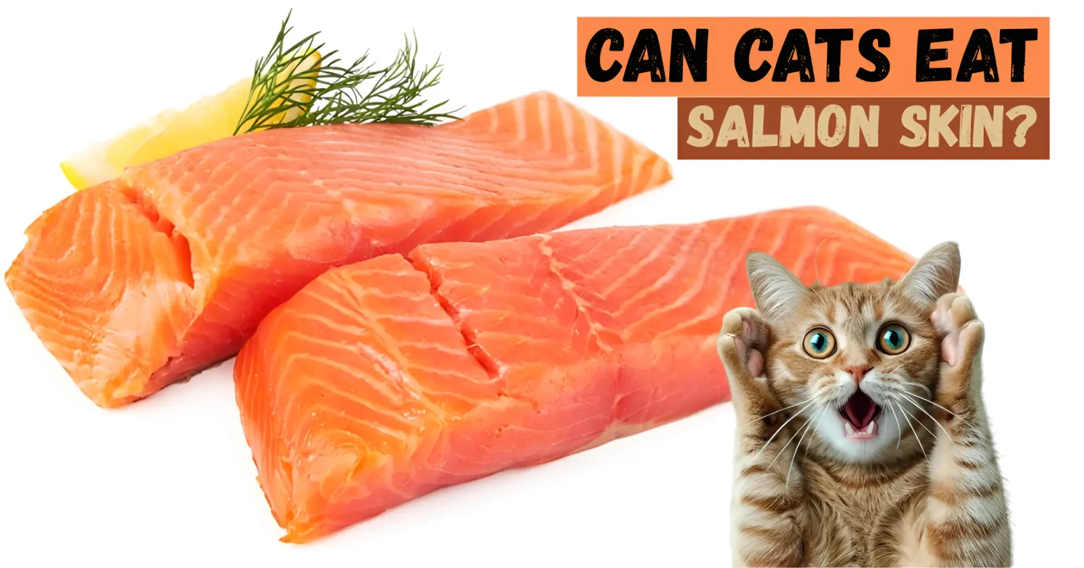 can cats eat salmon skin