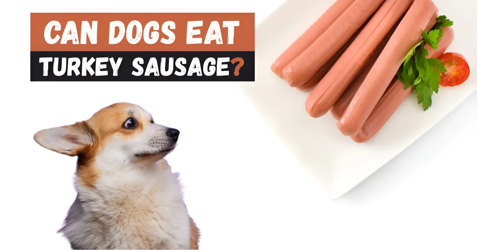 can dogs eat turkey sausage