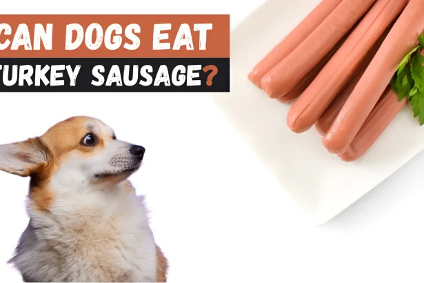 can dogs eat turkey sausage